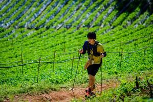 BIB: 
                            <button type="button" onclick="openModal(19164113)" class="btn btn-primary btn-sm float-right btn-popup" data-toggle="modal" data-target=".modal-high-quality">
                        <i class="fas fa-shopping-cart"></i> Add to Cart
                    </button>
                                            <button type="button" onclick="isThisMe(19164113, true)" class="btn btn-success btn-sm float-right btn-popup btn-isme hidden" data-toggle="tooltip" data-placement="bottom" title="นี่คือรูปของคุณใช่ไหม คลิกที่นี่เพื่อเอาเข้าอัลบั้ม">
                        <i class="fas fa-plus"></i> Add to album
                    </button>
                    <button type="button" onclick="isThisMe(19164113, false)" class="btn btn-warning btn-sm float-right btn-popup btn-isnotme hidden">
                        <i class="fas fa-ban"></i> Remove from album
                    </button>